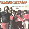 Flamin' Groovies