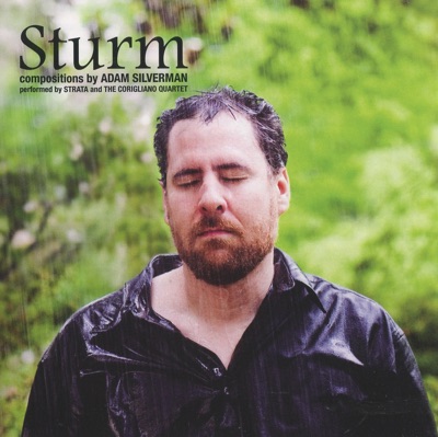 Sturm - Compositions By Adam Silverman
