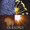 Seasons