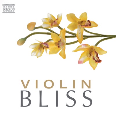 Violin Bliss