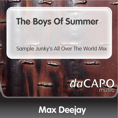 The Boys of Summer (Sample Junky's All Over the World Mix) [feat. Faith] - Single