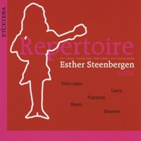 Esther Steenbergen: Repertoire (Guitar Music) - Esther Steenbergen