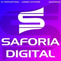 K.I Perception - James Kitcher