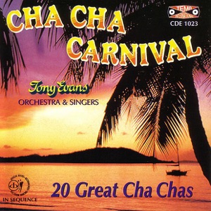 Tony Evans and His Orchestra - Surrey With a Fringe On Top - 排舞 音乐