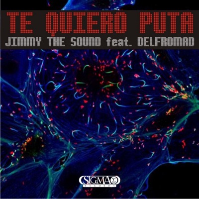 Te Quiero Puta (feat. Delfromad) - Single