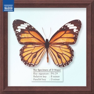 Symphony No. 9 in D Minor, Op. 125 "Choral": IV. Finale (Excerpt)