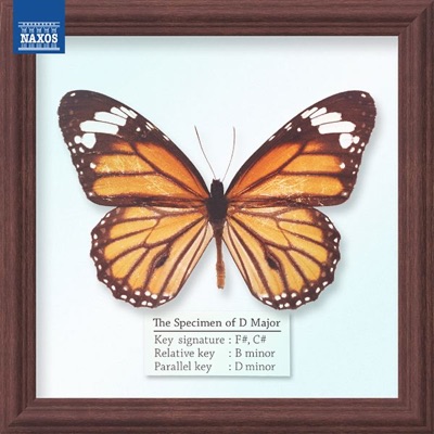 The Specimen of D Major