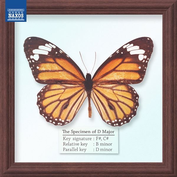 Symphony No. 9 in D Minor, Op. 125 "Choral": IV. Finale (Excerpt)