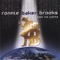 It Takes a Smart Man to Play Dumb (Smart Dummy) - Ronnie Baker Brooks lyrics