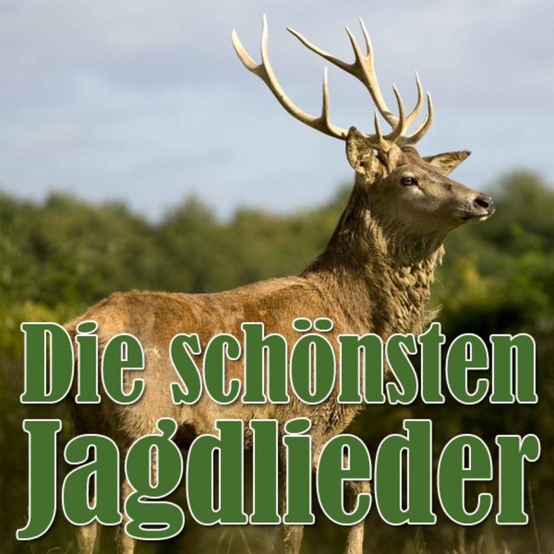 Auf Der Heide