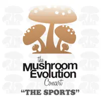 Suspicious Minds — Sports