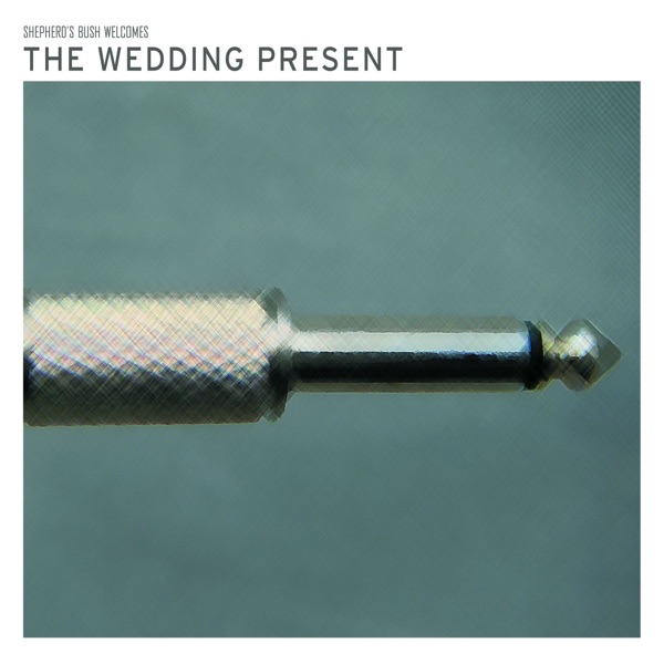 Shepherd's Bush Welcomes the Wedding Present (Live) cover