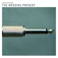 Shepherd's Bush Welcomes the Wedding Present (Live)