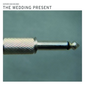 Shepherd's Bush Welcomes the Wedding Present (Live)