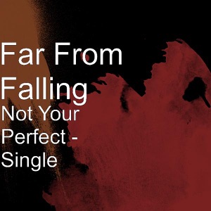 Not Your Perfect - Single
