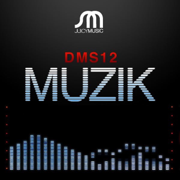 Muzik artwork