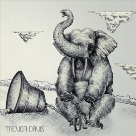 Not Enough Trevor Davis