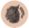 Recommendation (Toddla T Remix) - Little Dragon lyrics