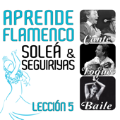 Aprende Flamenco - Soleá y Seguiriyas - Lección 5