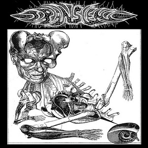 Split 7"  - EP