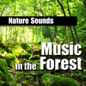 Cover art for Music In the Forest (Music and Nature Sound) by Nature Sounds