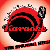 Cover art for The Best Of Enrique Iglesias - Karaoke (The Spanish Hits !) by Backing Force