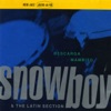 Snowboy and the Latin Section