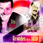 2 Grandes de la Salsa, Vol. 1 artwork