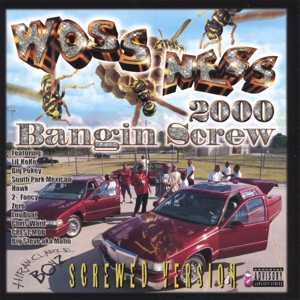 Bangin Screw 2000 : Screwed