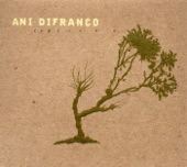 Ani Difranco - Hypnotized