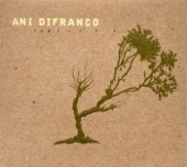 Ani DiFranco - Hypnotized