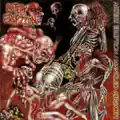Defiled Remains