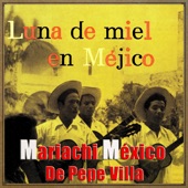 El Mariachi artwork