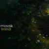 Mosaik - Leandi