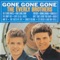 It's Been a Long Dry Spell - The Everly Brothers lyrics