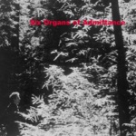 Six Organs of Admittance - Sum of All Heaven
