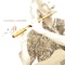 A Case of You - Michael Monroe lyrics