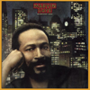 Midnight Love - Marvin Gaye