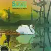 Slave - The Great American Funk Song