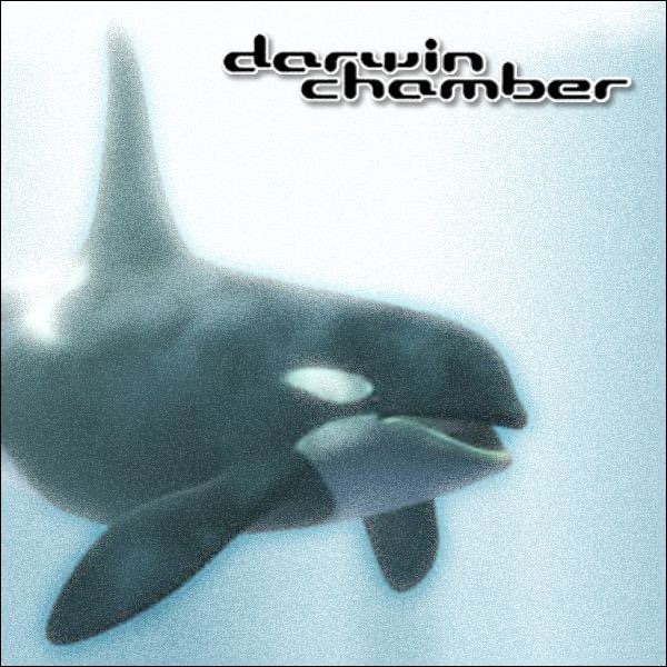 3D Whale Songs Environment
