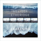 Melissa Etheridge - Message To Myself