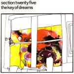 Section 25 - Always Now
