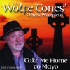 Derek Warfield - Go On Home British Soldiers