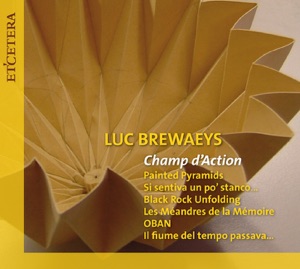 Brewaeys: Champ d'Action