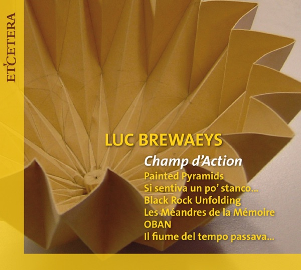 Brewaeys: Champ d'Action