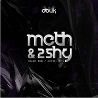 Skank Dub / Guidelines - Single - Meth & Shy