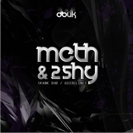 Guidelines Meth & Shy