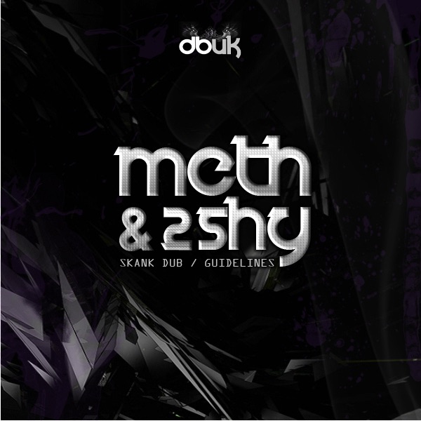 Skank Dub / Guidelines - Single