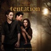 Michel Alexandre New Moon (The Meadow) Twilight, chapitre 2 : Tentation (Musique originale du film) [Version titres bonus]