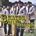 Vuelvo